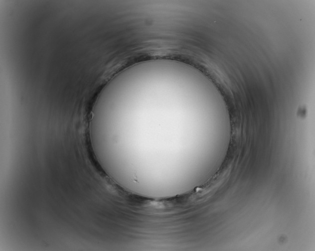 X0000102830277200808181056