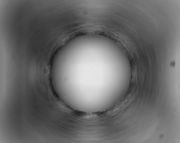 X0000102830278200808181056