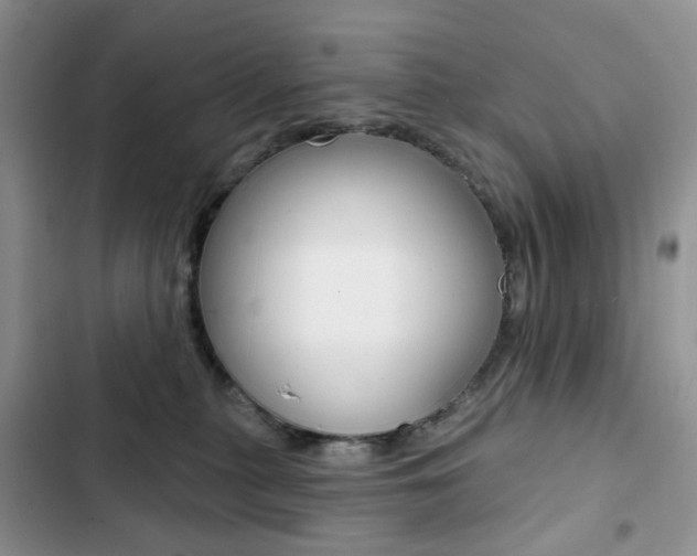 X0000102830279200808181056