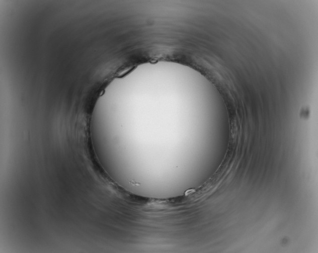 X0000102830280200808181056