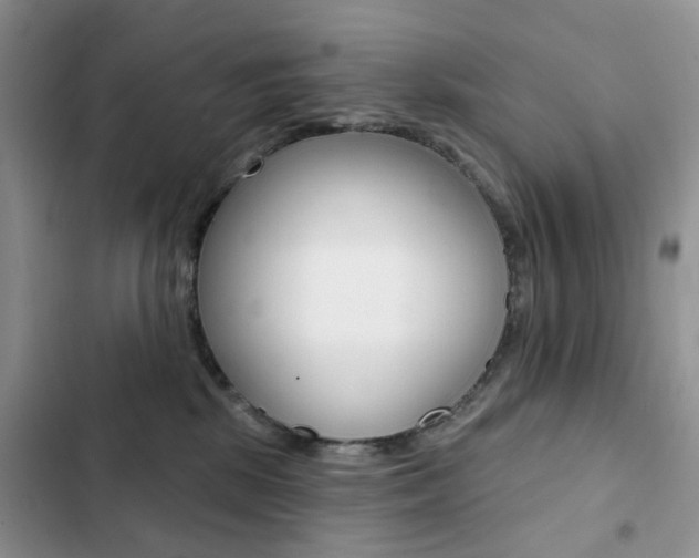 X0000102830281200808181056