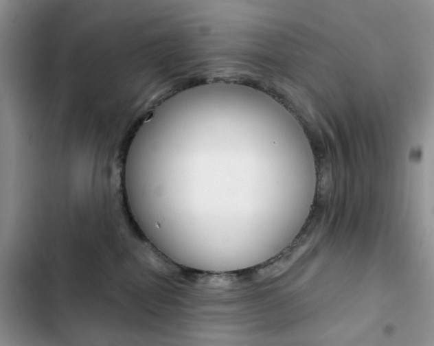 X0000102830282200808181056