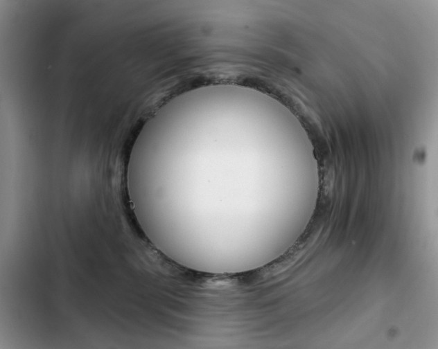X0000102830283200808181056