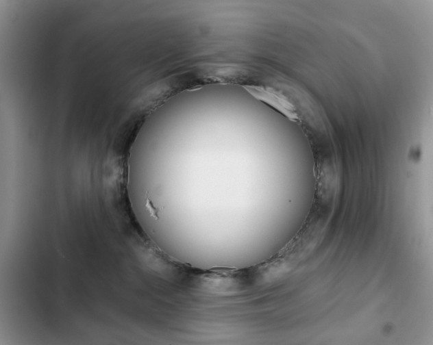 X0000102830284200808181056