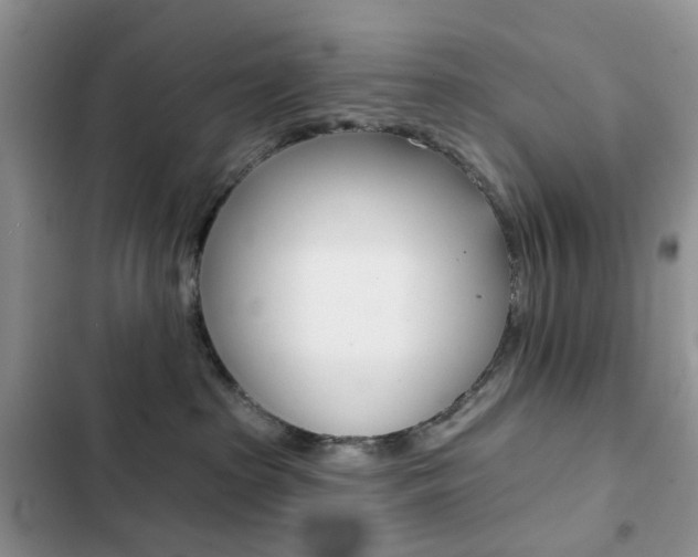 X0000102830285200808181056