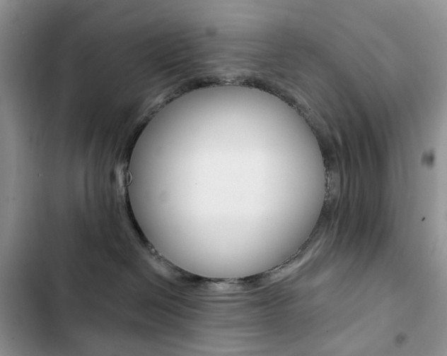 X0000102830286200808181056
