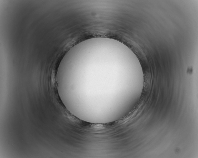X0000102830287200808181056