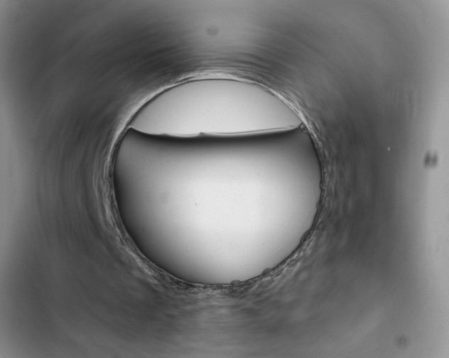 X0000102830289200808181055