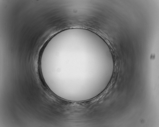 X0000102830290200808181055