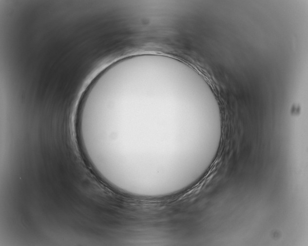 X0000102830292200808181055