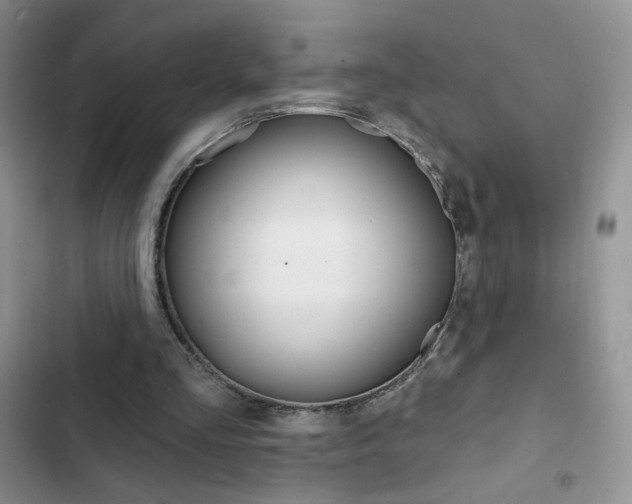 X0000102830293200808181055