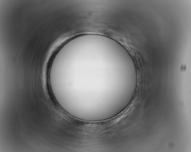 X0000102830294200808181055