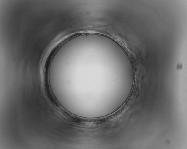 X0000102830295200808181055
