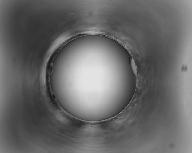 X0000102830296200808181055