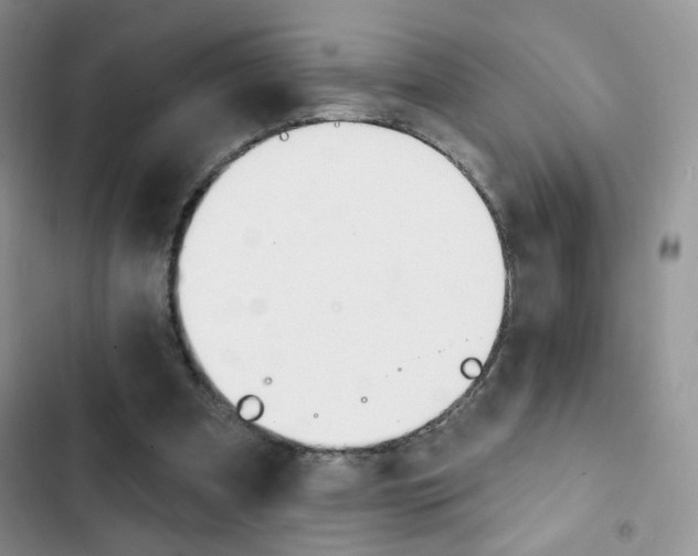 X0000102830297200808181055