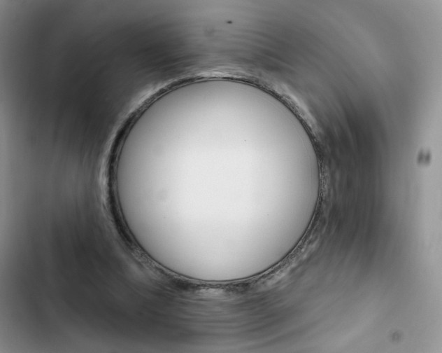 X0000102830298200808181055