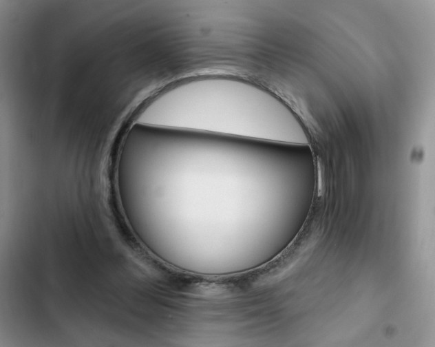 X0000102830300200808181055