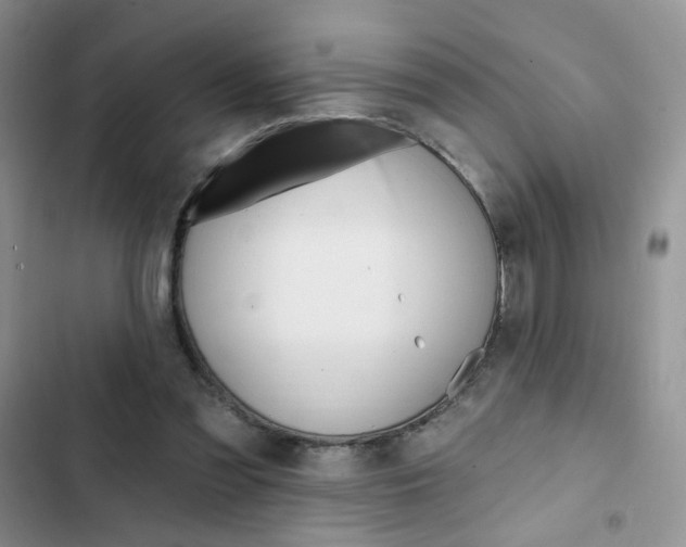 X0000102830301200808181055