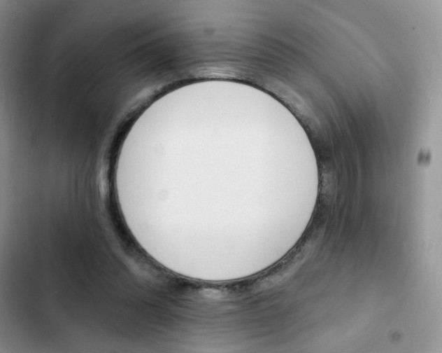 X0000102830302200808181055