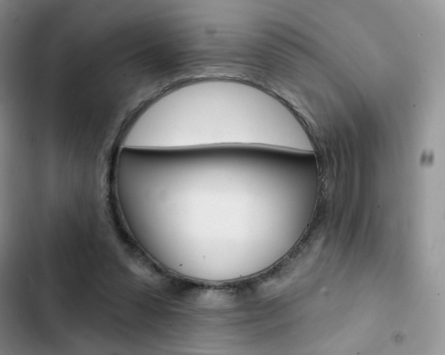 X0000102830303200808181055