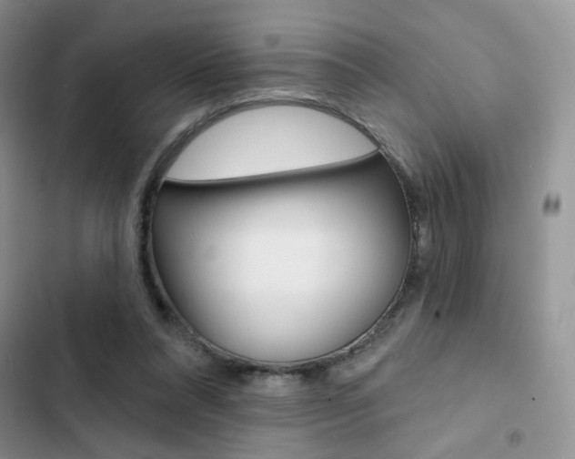 X0000102830304200808181055