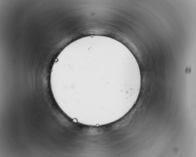 X0000102830305200808181055