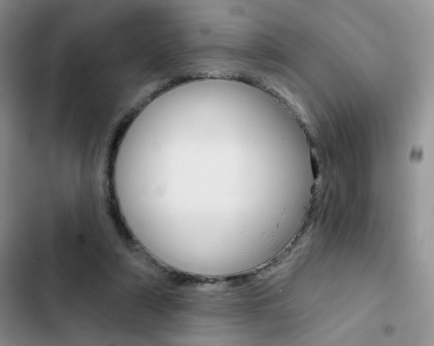X0000102830306200808181055