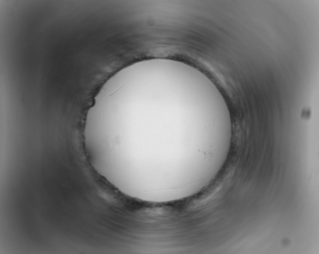 X0000102830307200808181055
