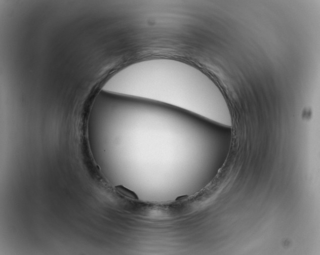 X0000102830308200808181055