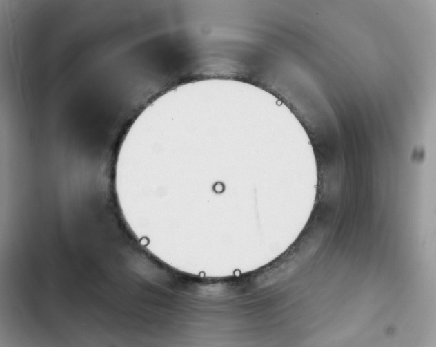 X0000102830309200808181055