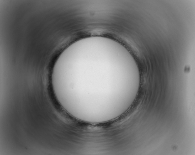 X0000102830311200808181055