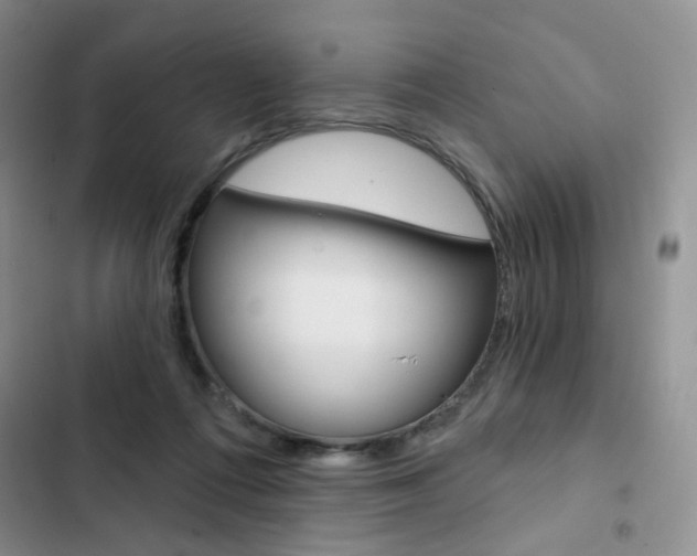 X0000102830312200808181055