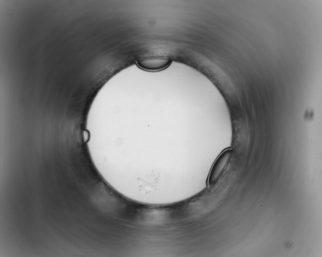 X0000102830313200808181055