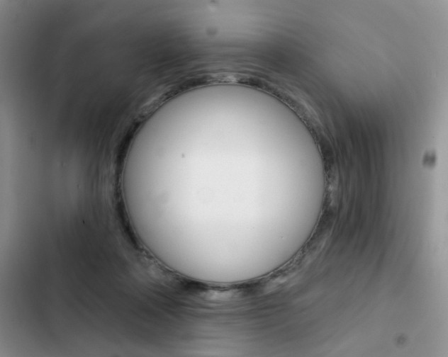 X0000102830314200808181055