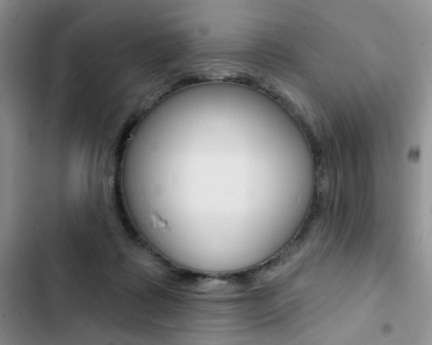 X0000102830315200808181055
