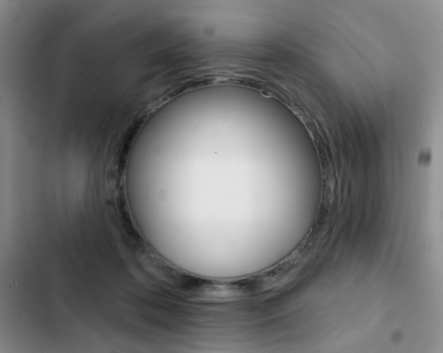 X0000102830316200808181055