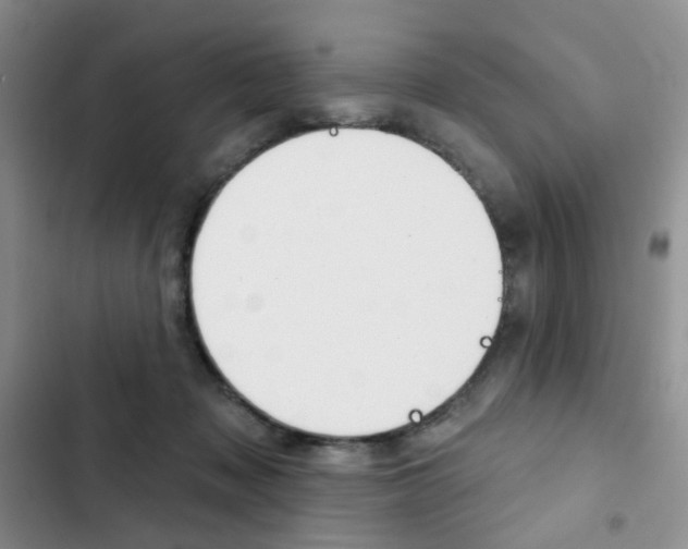 X0000102830317200808181055