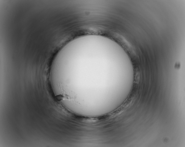 X0000102830318200808181055