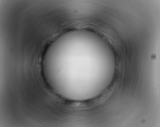X0000102830319200808181055