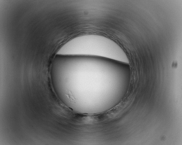 X0000102830320200808181055