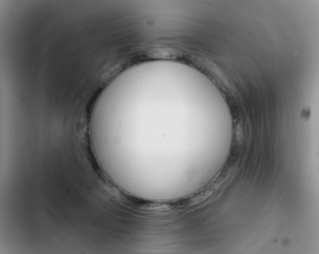 X0000102830322200808181055