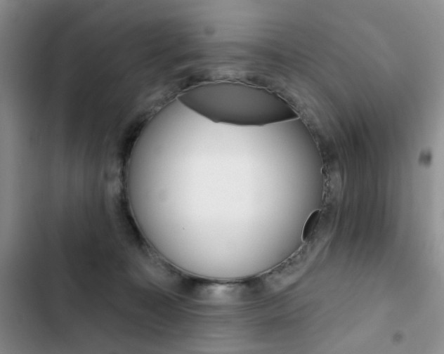 X0000102830323200808181054