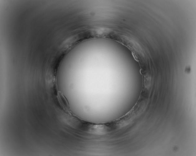 X0000102830324200808181054
