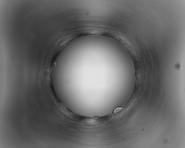 X0000102830325200808181054