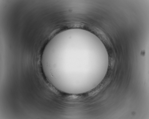 X0000102830326200808181054