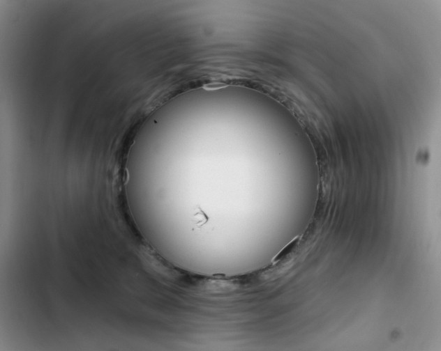 X0000102830327200808181054