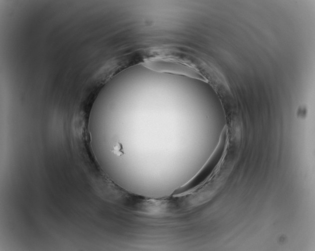 X0000102830328200808181054