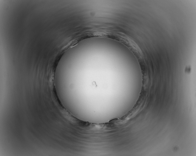 X0000102830329200808181054