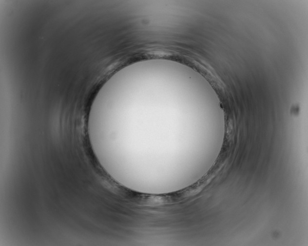 X0000102830330200808181054