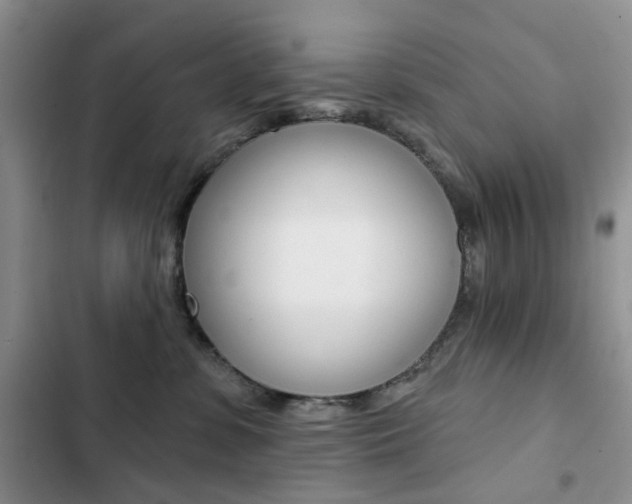 X0000102830331200808181054